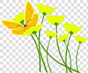 Daffodil Clip Art 18    Butterfly In Flower Vector Png  Transparent Png