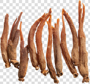 Red Ginseng Root  HD Png Download