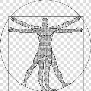 Binary Vitruvian Man   Transparent Vitruvian Man Png  Png Download