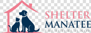 Shelter Manatee   Dog Catches Something  HD Png Download