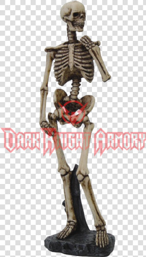 Skeleton Arms Png   Posed Skeleton  Transparent Png