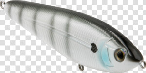 Sand Eel   Sardine  HD Png Download