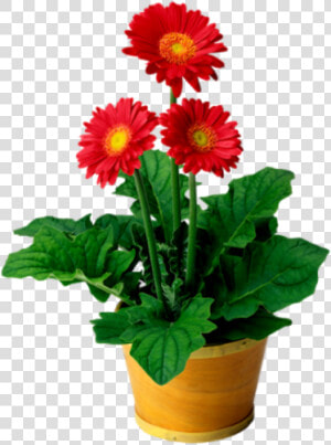 Flowers Flowerpot  doloresgouveia   Go Math Lesson 1 2 6th Grade  HD Png Download