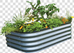 Birdies Modular Raised Garden Bed Prefect For A New   Birdies Raised Garden Beds  HD Png Download