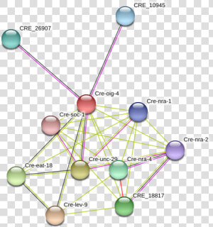 Cre Oig 4 Protein   Circle  HD Png Download