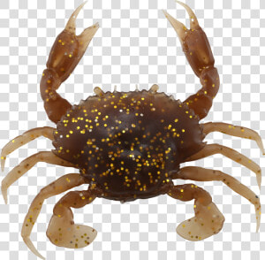 Freshwater Crab  HD Png Download