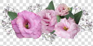 Flower  Arrangement  Pink Floral  Bunch   Purple Pink Flowers Png  Transparent Png