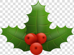 Christmas Holly Png Clip Art Image   Christmas Holly Berry Vector Png  Transparent Png