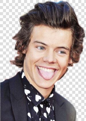 Harry Styles   Harry Styles Transparent Png  Png Download