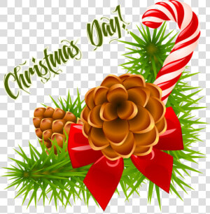 Christmas Day Decoration Png Transparent   Clip Art Christmas Pine Cone  Png Download