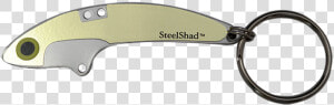 Steelshad Gold Key Ring   Keychain  HD Png Download