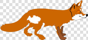 Transparent Fox Clip Art   Zorro Y El Quirquincho  HD Png Download