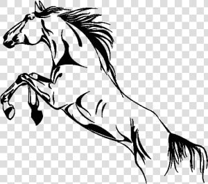 Clip Art Desenho Cavalo Png   Horse  Transparent Png