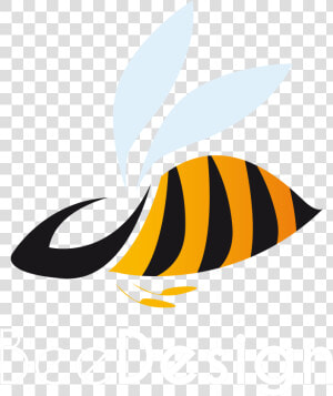 Honey Bee Bees Transprent   Bumble Bee  HD Png Download