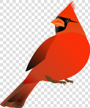 Northern Cardinal St   Red Cardinal Bird Clip Art  HD Png Download