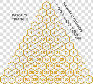 Galton Board Pascal  39 s Triangle  HD Png Download