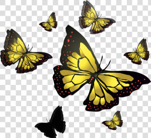 Vector Butterfly   Speckled Wood  butterfly  HD Png Download