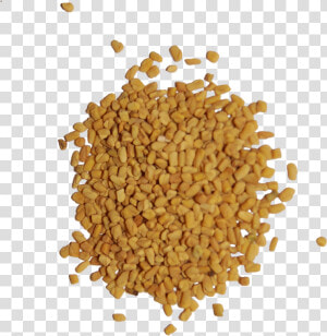 Fenugreek Seeds Png   Png Download   Transparent Fenugreek Png  Png Download