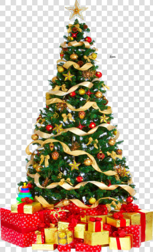 Christmas Tree Png Pic   Christmas Tree Png Download  Transparent Png