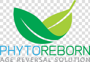 Phyto Reborn   Graphic Design  HD Png Download