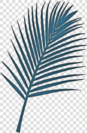   fern  plant  leaf  blue Remixed From  jumminbs  freetoedit   Palm Trees  HD Png Download