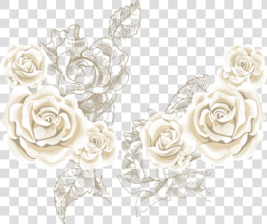  mq  rose  roses  white  flowers  flower  garden   White Rose Background Vector  HD Png Download