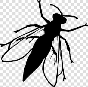 Silueta  Mosca  Insectos  Vector Animal  Transparente   Fly Silhouette Png  Png Download