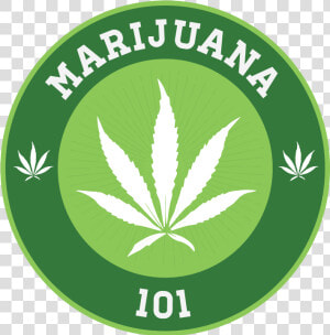 Transparent Weed Symbol Png   Weed University  Png Download