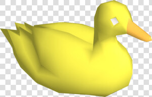 Rubber Duck   Mod Rubber Ducks  HD Png Download