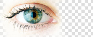 Cataract Eye Surgery In New Jersey   Imagenes Sobre El Ojo  HD Png Download