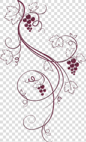 Clip Art Drawn Vines   Easy Grape Vine Drawing  HD Png Download