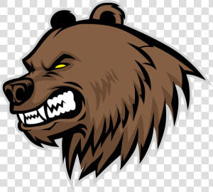 Fang Drawing Roar   Cartoon Grizzly Bear Drawing  HD Png Download