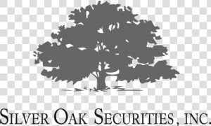 Silver Oak Logo   River Oaks Elementary Logo  HD Png Download