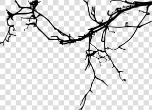 15 Simple Tree Branch Silhouettes   Rama De Arbol Silueta  HD Png Download