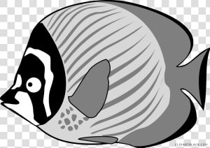 Bass Fish Png  tropical Black And   Fish Sea Creatures Clipart  Transparent Png