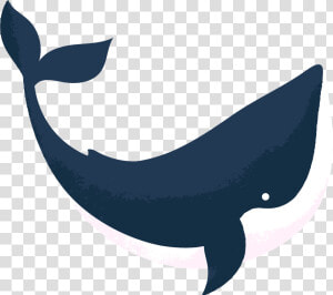 Orca Reviewed By Abbie Cheesman At Whale And Dolphin  HD Png Download