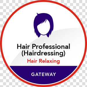 Hair Professional   Tutor  HD Png Download