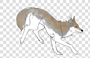 Transparent Coyote Png   Coyote  Png Download