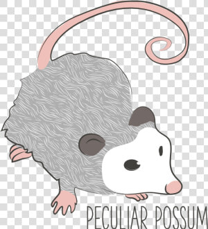 Possum 01   Rat  HD Png Download