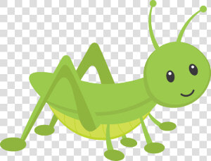 The Ant And The Grasshopper Insect Clip Art   Cute Grasshopper Clipart  HD Png Download