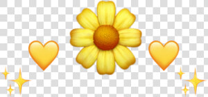  vintage  yellowaesthetic  sunflower  aesthetic  tumblr   Yellow Flower Emoji Png  Transparent Png