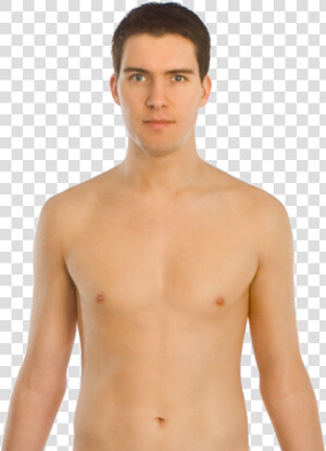 Upper Body Front  HD Png Download