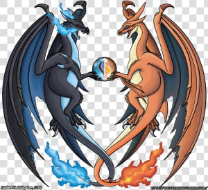 Mcxy Shirt For Web   Charizard And Mega Charizard  HD Png Download