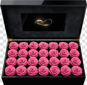 Luxury Lcd Display Flower Box Royal With 28 Preserved   Rose  HD Png Download