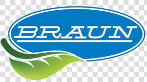 Braun   Oval  HD Png Download