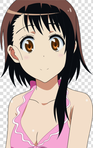 Transparent Onodera Png   Onodera Beach  Png Download