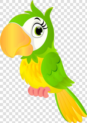 Transparent Parrot Png   Parrot Cartoon Png  Png Download