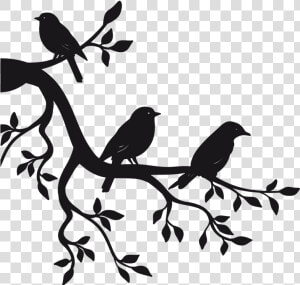 Paper Sticker Branch Bird Wall Decal   Birds On Branch Drawing  HD Png Download