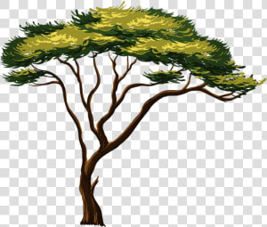 Africa Tree Png   African Tree Clipart  Transparent Png