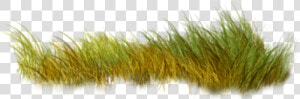 Grassland  HD Png Download